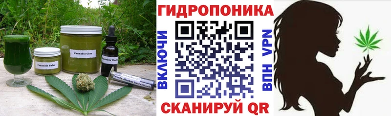 mega маркетплейс  Чулым  Cannafood марихуана  наркошоп 