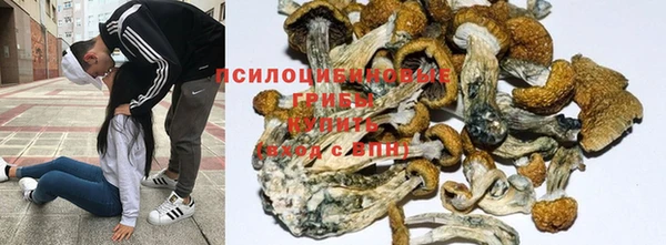 прущая мука Вязники