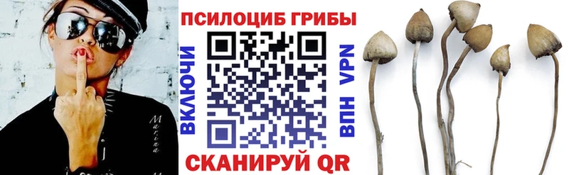 Псилоцибиновые грибы Magic Shrooms  Чулым 